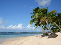 Win a trip to Jamaica