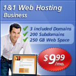 1 and 1 hosting