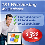 1 and 1 hosting