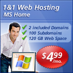 1 and 1 hosting