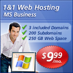 1 and 1 hosting