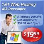 1 and 1 hosting