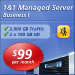 1 and 1 hosting