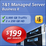 1 and 1 hosting