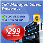 1 and 1 hosting