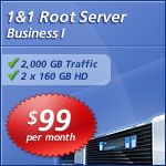1 and 1 hosting