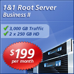 1 and 1 hosting