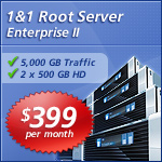 1 and 1 hosting